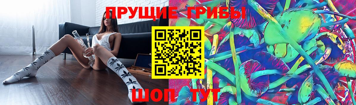 Галлюциногенные грибы Cubensis  магазин продажи   Губкинский  Вход с VPN 